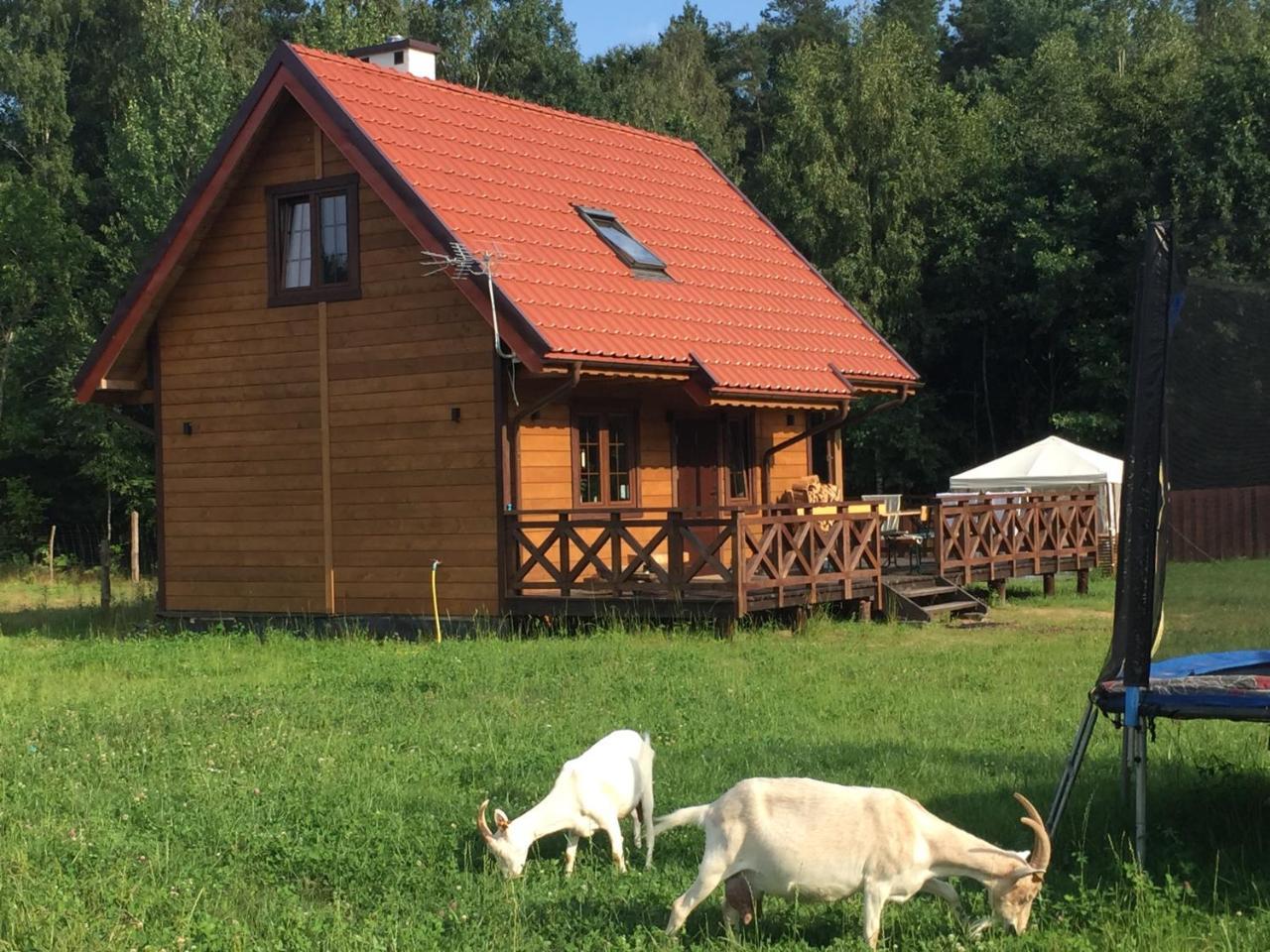 우크타 Wypoczynek Na Mazurach U Sebka 빌라 외부 사진
